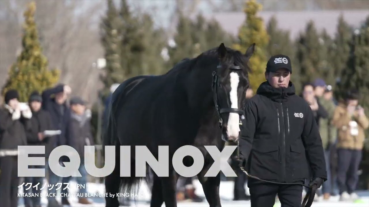 NEW for 2024 STALLIONS（社台スタリオンステーション2024年新種牡馬