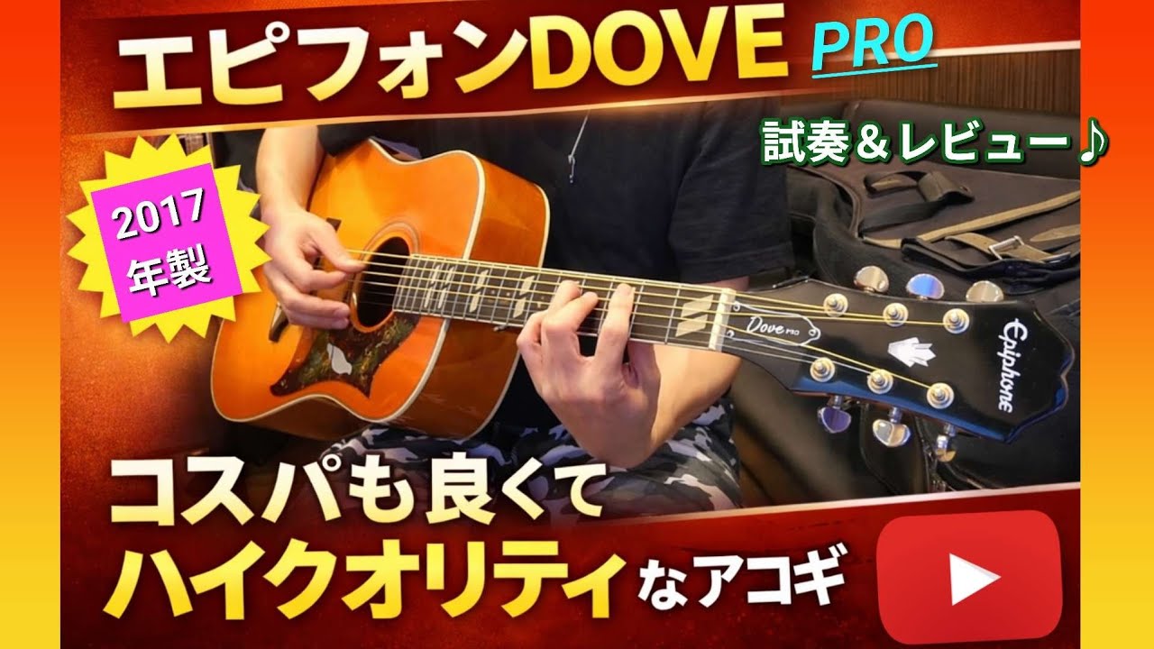 エピフォンDOVE】アコギ試奏⇒コスパも良くてハイクオリティなアコギ