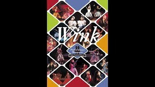 Wink Performance Memories 〜30th Limited Edition〜 【Official