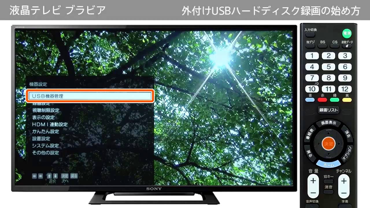 ソニー 液晶テレビ ブラビア（W500Cシリーズ） 外付けUSB