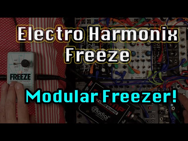 ❄️ Electro Harmonix Freeze goes Modular ❄️ 🎧 (no talking