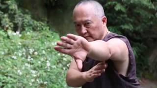 八卦拳基礎と八卦導引 何静寒著 八卦拳基礎と八卦導引 何静寒著 八卦拳