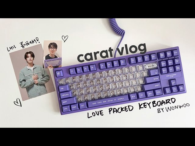 seventeen ウォヌ キーボード×2 Buy SEVENTEEN [WONWOO] Artist-Made