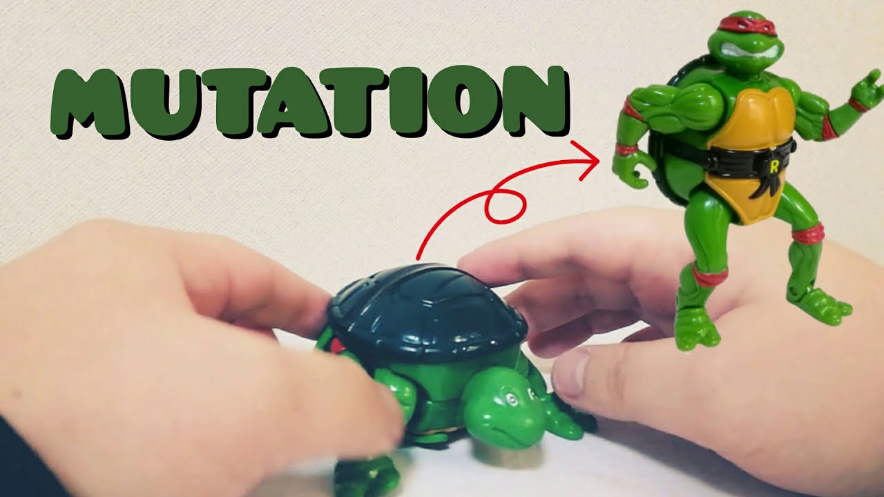 Video of just transforming the 1992 Mutation Turtles. - YouTube