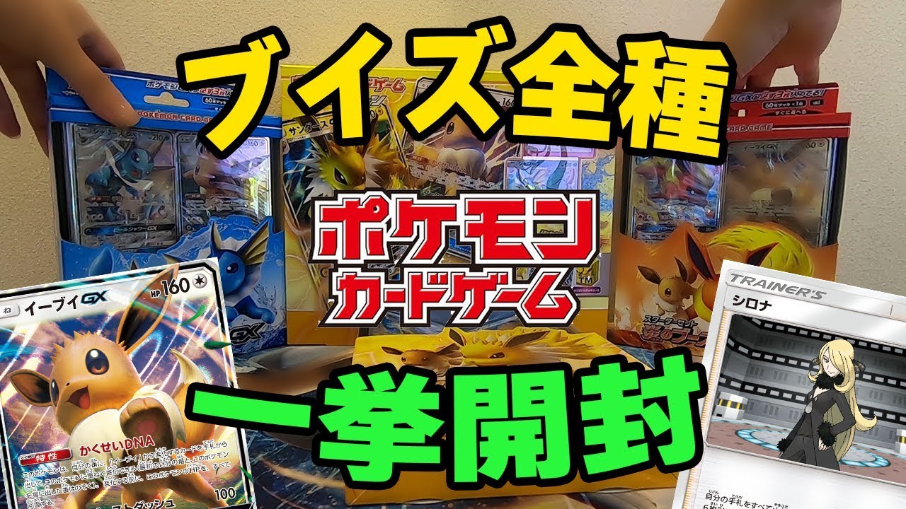 ポケモンカード】シロナが4枚にグズマが2枚!?「雷のサンダースGX