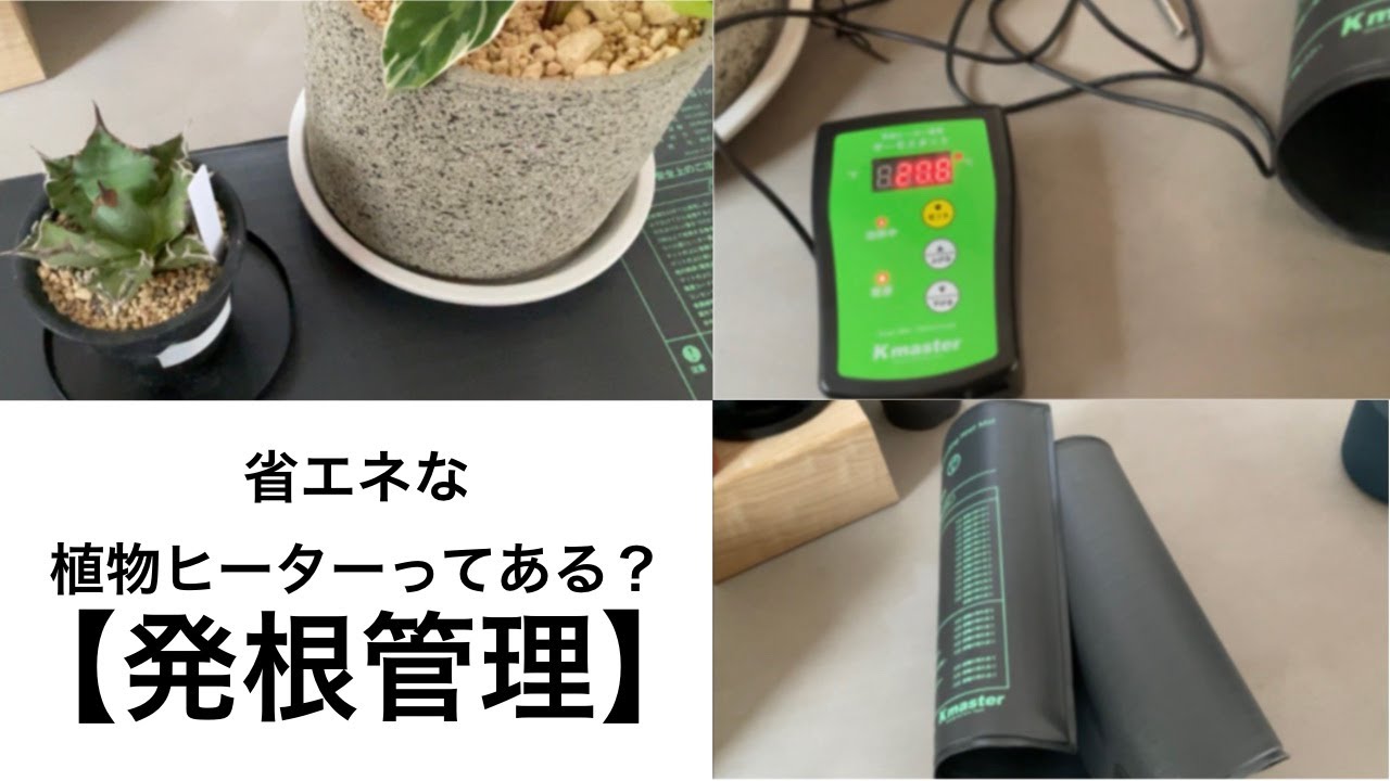 省エネな植物ヒーターってある？【発根管理】 - YouTube
