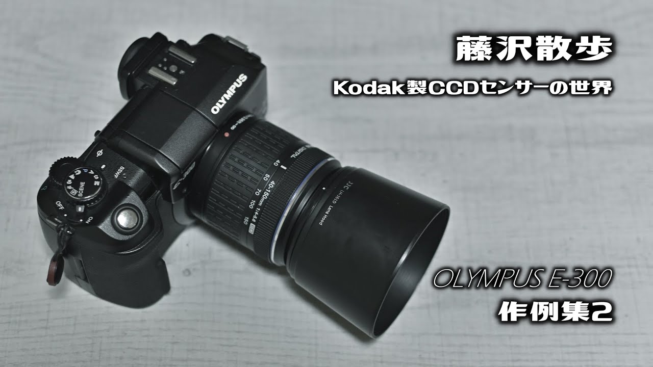 OLYMPUS（オリンパス）E-300 作例集2『藤沢散歩 ～Kodak製CCDセンサー