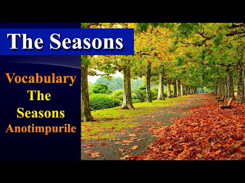 Lesson 30, Romanian for beginners , Vocabulary, The Seasons - YouTube