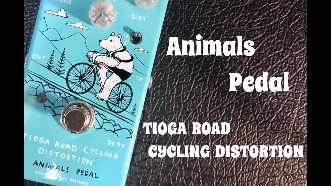 Animals Pedal / TIOGA ROAD CYCLING DISTORTION 【弾きながらレビュー