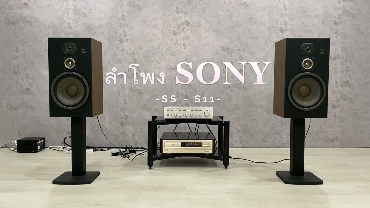 SONY スピーカーシステム SS-S11 Sony-SS-S11 - www.hifi-guide.com