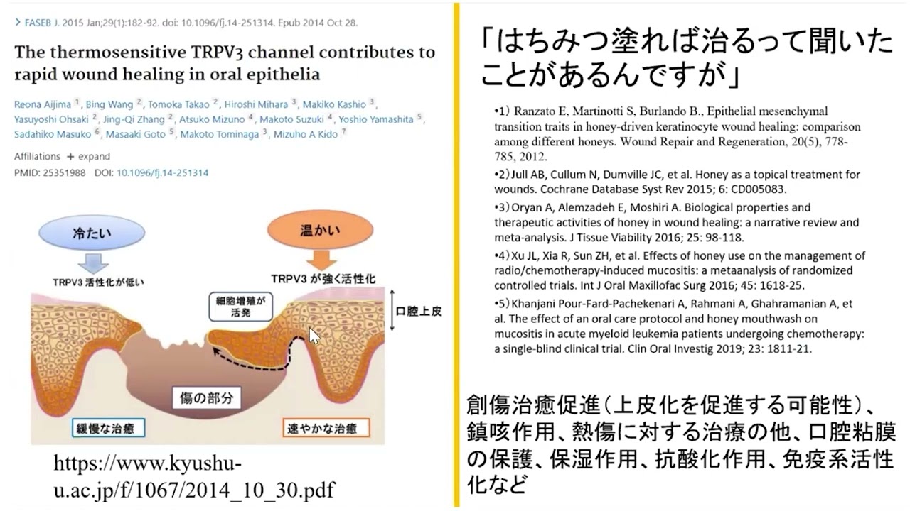 口腔粘膜疾患の鑑別 – 株式会社デジタルクリエイト・オンラインショップ