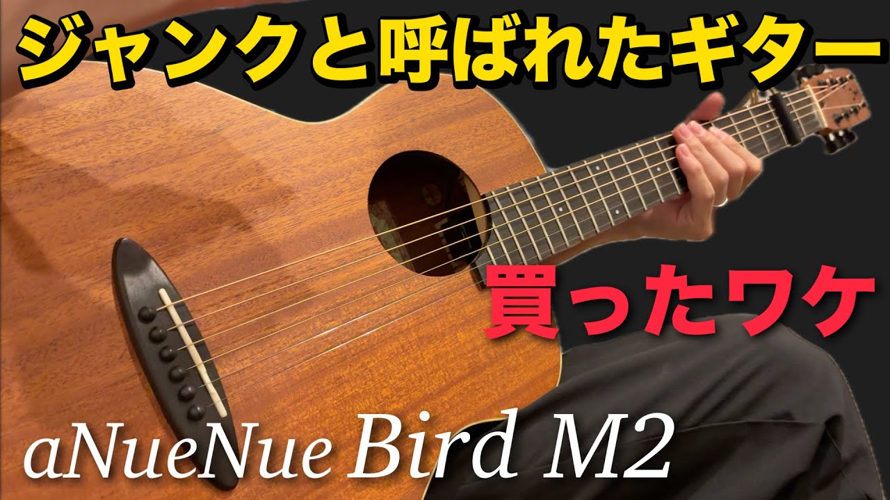 Anuenue Bird M2 ジャンクと言われたギターで楽しむ - YouTube