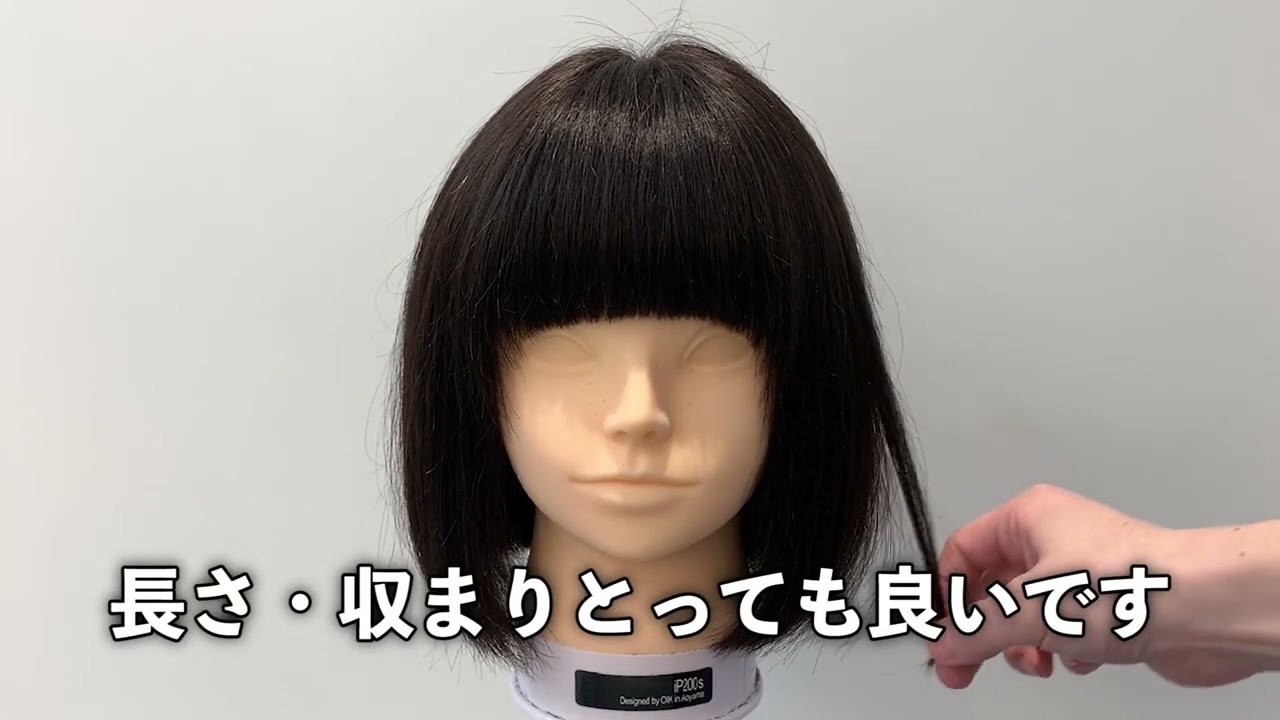 カットウィッグ ip200sNG 2体 カットウィッグ ip200sNG 2体 カット