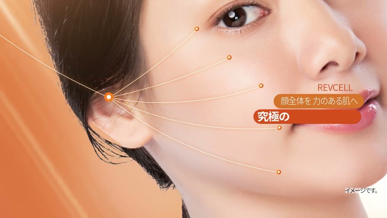 REVCELL】プレミアムインテンシブスキンアクティブファイバー 30mg×8個