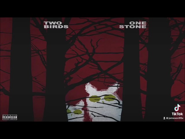 Drake - Two Birds, One Stone (432hz) - YouTube