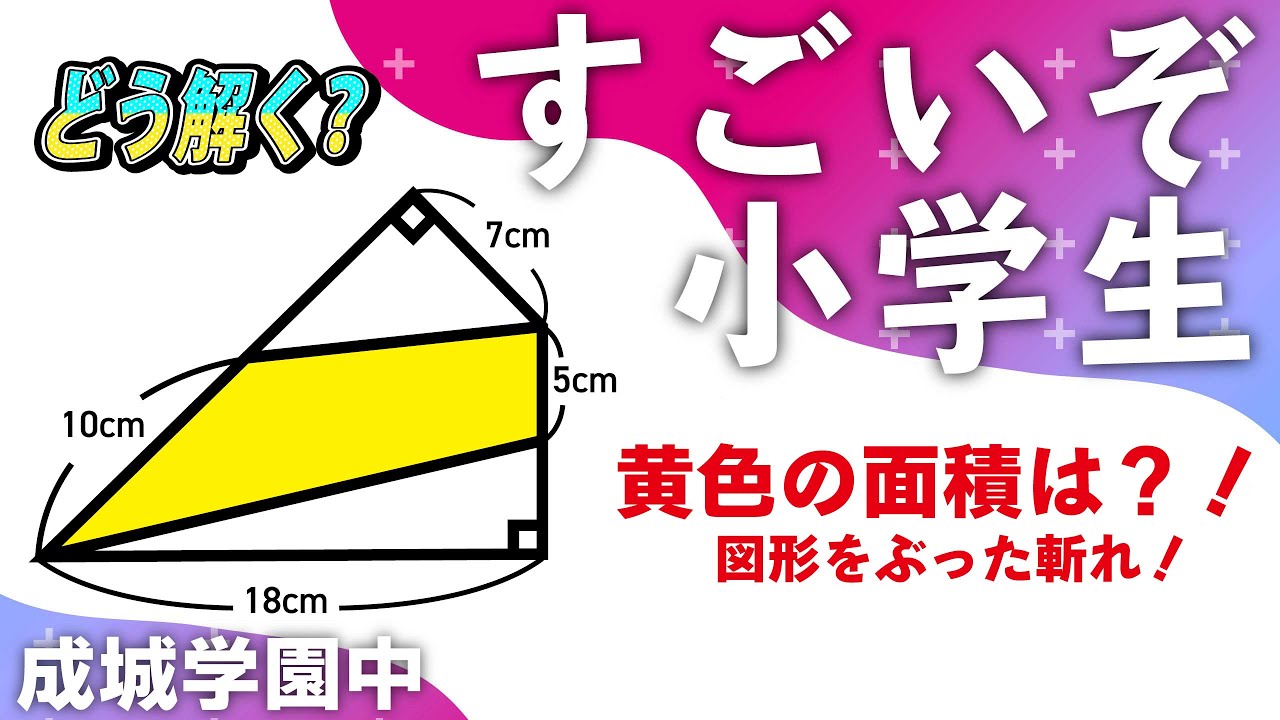 面白い算数問題】どう解く？成城学園中 中学受験 算数 平面図形 - YouTube