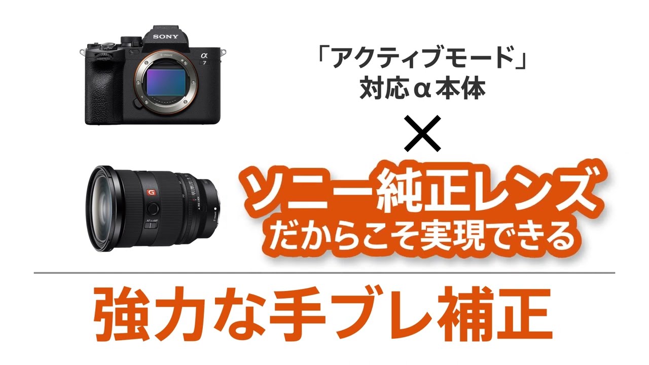 ヨドバシ.com - ソニー SONY SEL24F18Z Sonnar T* E 24mm F1.8 ZA [単