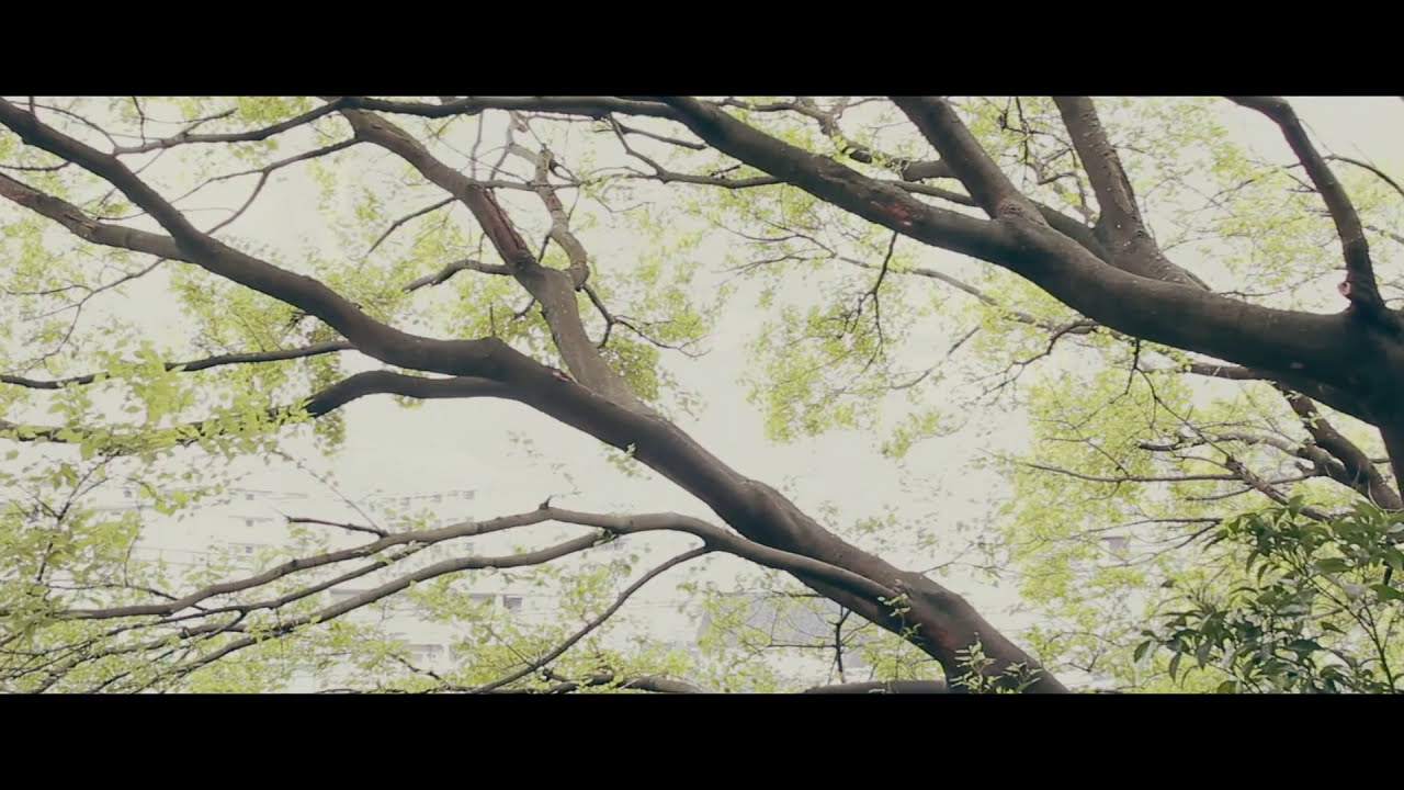 ZORN / サードチルドレン - ZAKAI Store