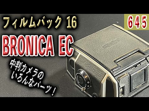 実用用品！Zenza BRONICA EC 16 645 6×4.5 フィルムバック 中判カメラ