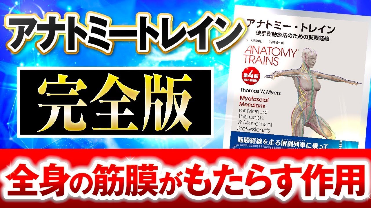 2025年完全版】アナトミートレイン7種類のそれぞれの作用をこの1本で