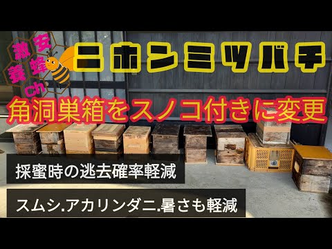 角洞からほぼ重箱へ。より快適な巣箱に変更! ダニ、スムシ、暑さからの