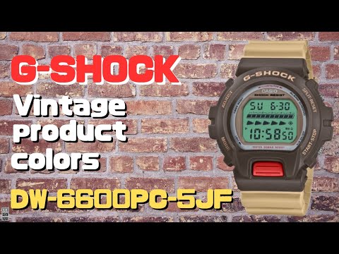 G-SHOCK DW-6600PC-5JF デジタル腕時計 メンズ Vintage product colors