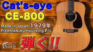 Cat's eyes CE-800 / FISHMAN Humbucking P.U. 1979年 弾く！ - YouTube