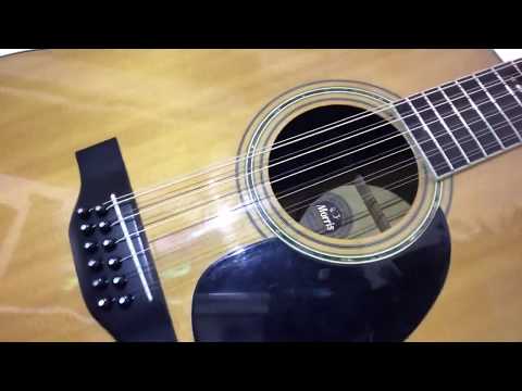 Morris】2万円でハカランダ！12弦ギターを買ってみた！【B-50】 - YouTube