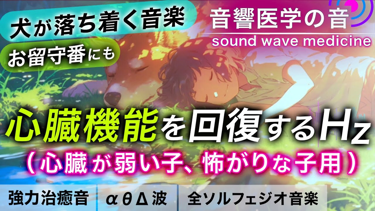 犬が落ち着く音楽】心臓が弱い子/心臓病/臆病な子/雷などで震える子