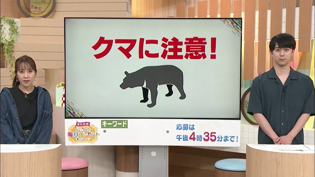 どうする!?】クマに出会ったら…対策と退避法【いっちゃん☆KNB】 - YouTube