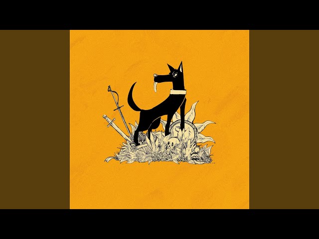 TOOBOE stupid dog CD Blu-ray 直筆サイン入り TOOBOE stupid dog CD