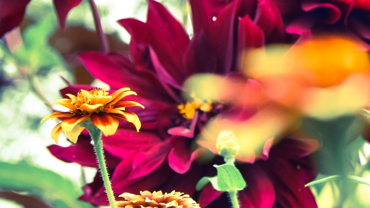 Garden - Sugar Soul feat.kenji（ラップ無し歌詞付きフル）ガーデン