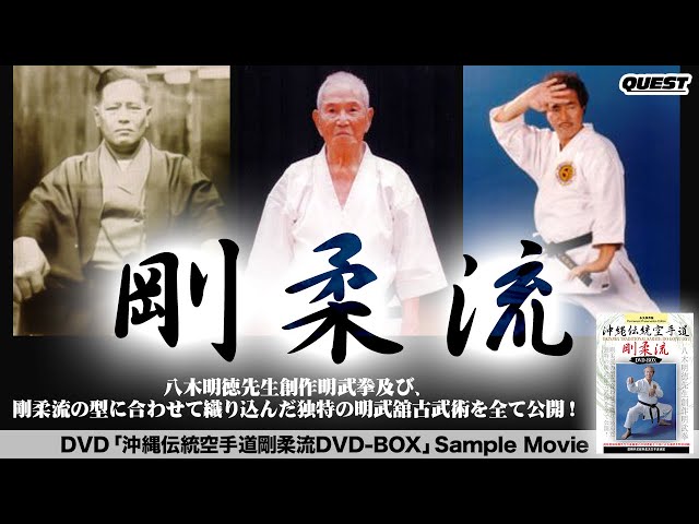 沖縄伝統空手道剛柔流 DVD-BOX - YouTube