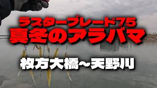 Yodo River Bass Fishing] Midwinter Alabama (Luster Blade 75