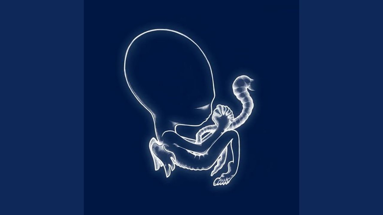 Sigur Rós - Untitled #1 - Vaka (Official 4K Remastered Music Video