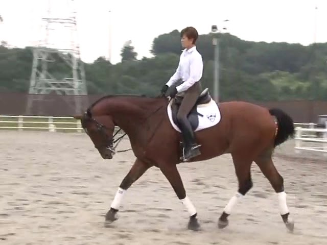 北井裕子のドレッサージュレッスン Lesson 1 「ストレッチ