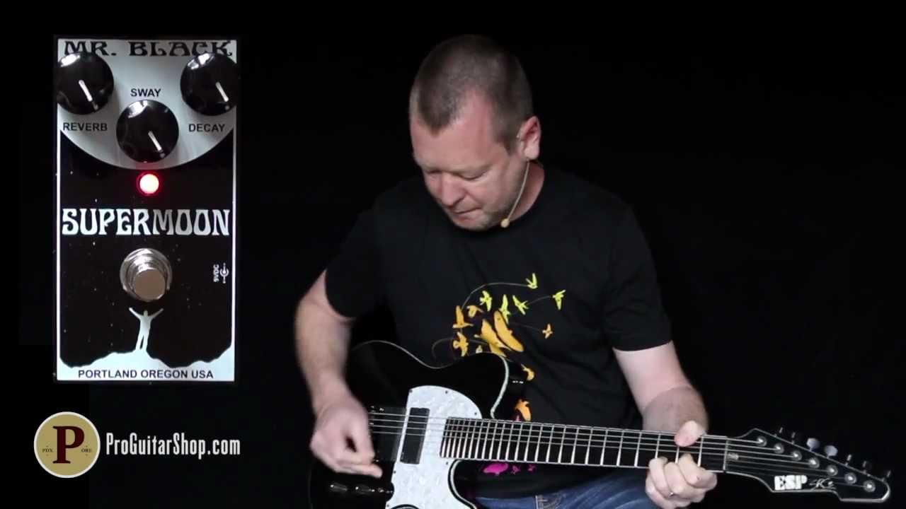 Mr. Black Supermoon Modulated Reverb - YouTube