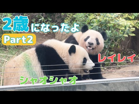 シャオシャオとレイレイ（2歳〜） - YouTube