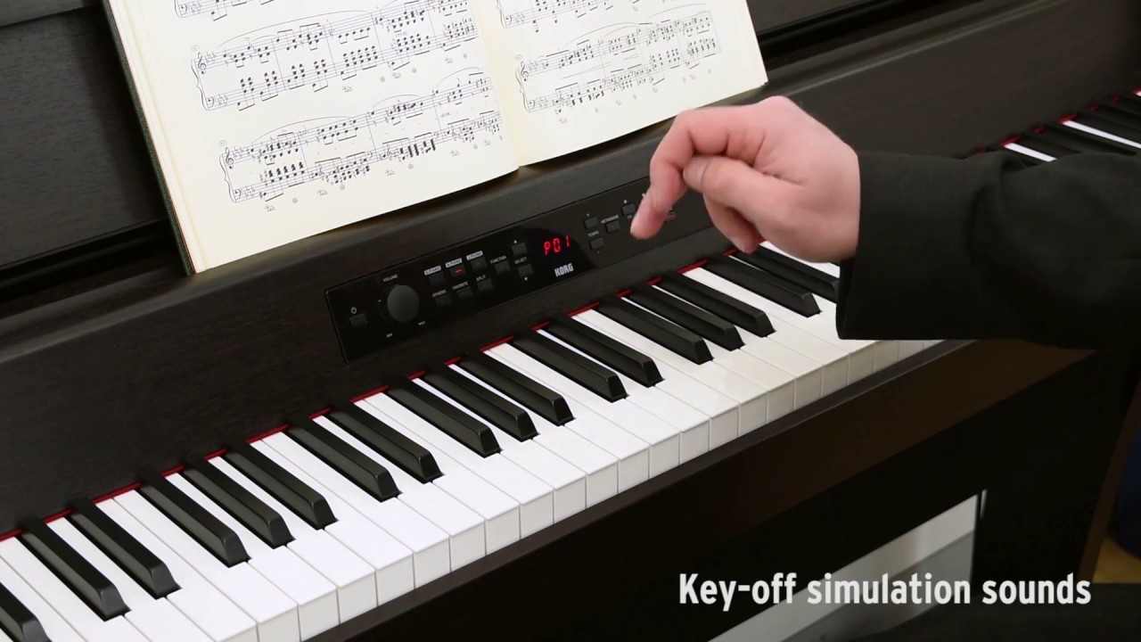 maxresdefault.jpg?sqp=-