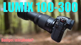 Lumix 100-300ii review - Budget Telephoto for M43 - YouTube