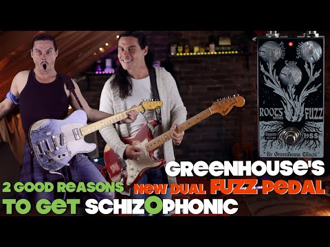 Greenhouse's New Dual FUZZ PEDAL (roots series): 2 good reasons to