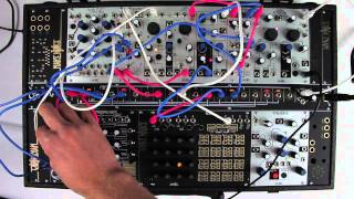 Make Noise Wogglebug— Clockface Modular