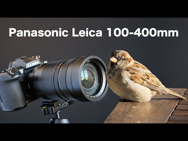 Panasonic Leica 100-400mm - YouTube