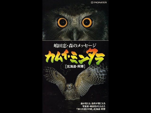 福間創/Hajime Fukuma - Flowers (Remastered2021) Full Album - YouTube