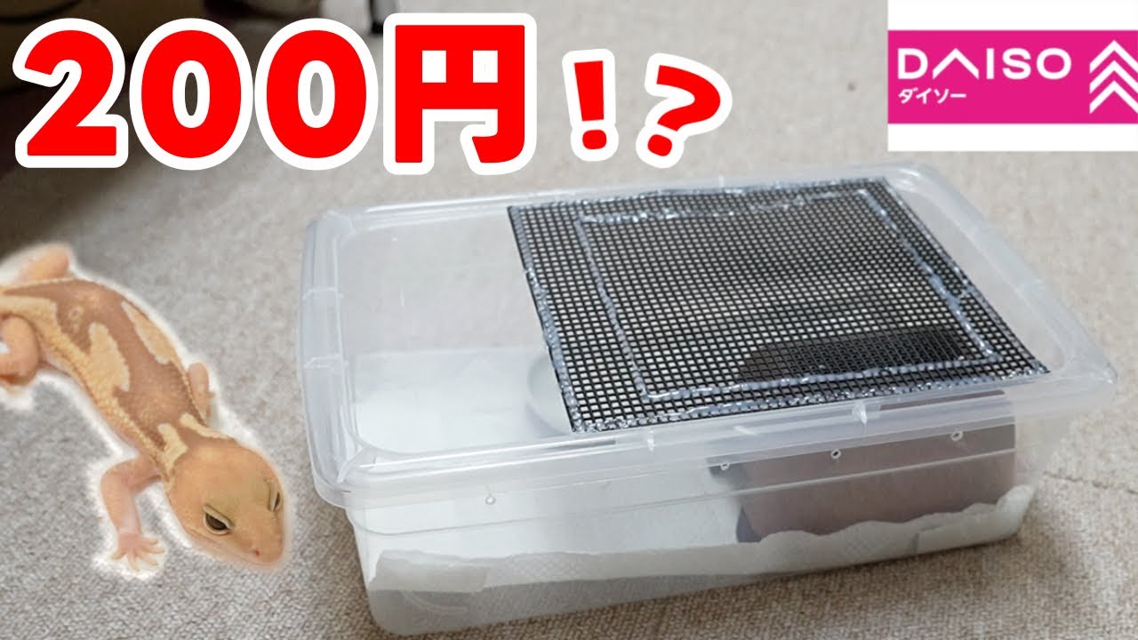 激安なレオパ・ニシアフの最強自作ケージ！ - YouTube