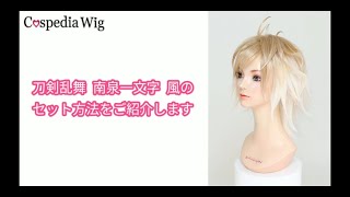 コスプレウィッグ・オーダーウィッグの通販専門店【 コスペディア