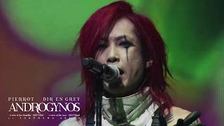 PIERROT×DIR EN GREYの横浜アリーナ公演『ANDROGYNOS』収録Blu