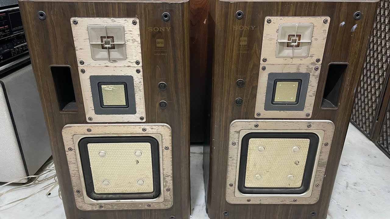 Sony APM-66ES Speakers Price In Hindi 9811204032 / 9717618838