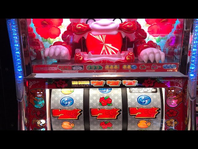 エヴァ告知⁉️ココナッツ貯金Ver✨もっと楽シーサー‼️プレミア告知が