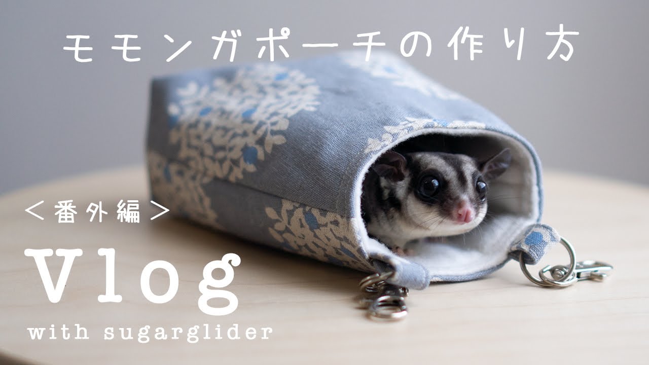 番外編【フクロモモンガのいる暮らし】モモンガポーチの作り方 - YouTube